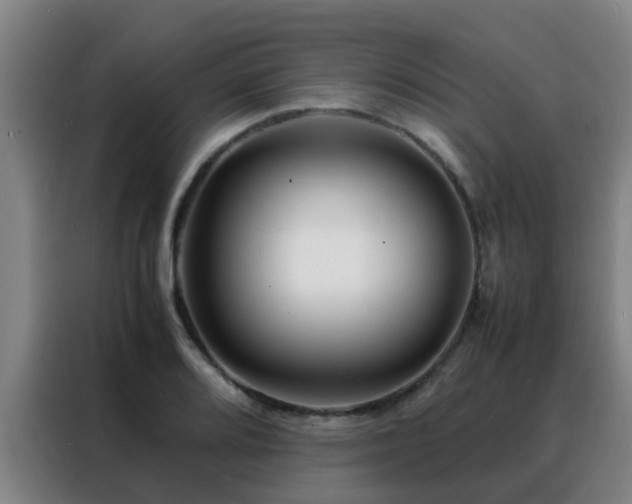 X0000088131080200705211111