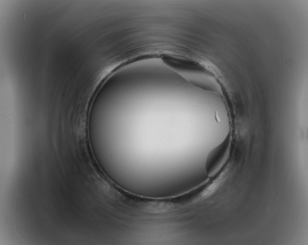 X0000088131081200705211111