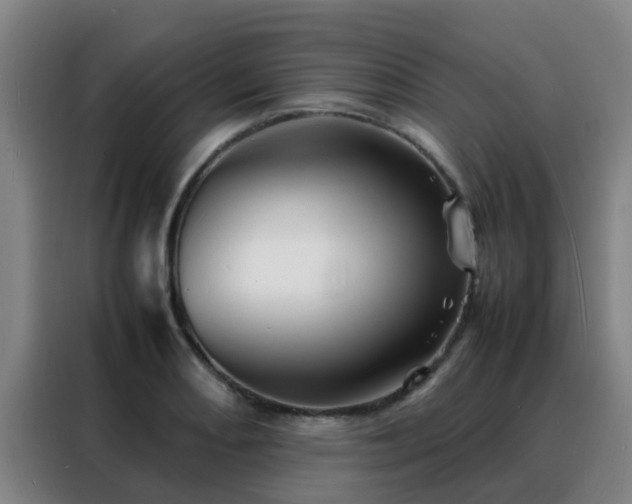 X0000088131082200705211111