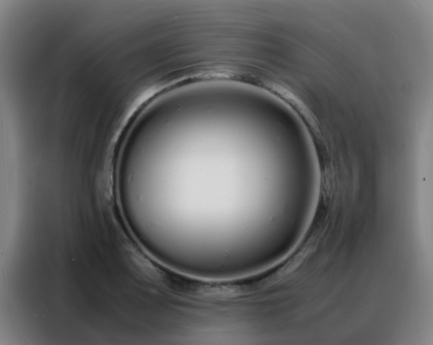 X0000088131083200705211111