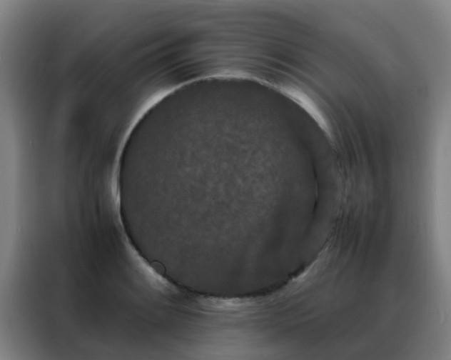 X0000088131084200705211111