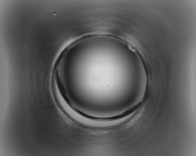 X0000088131085200705211111