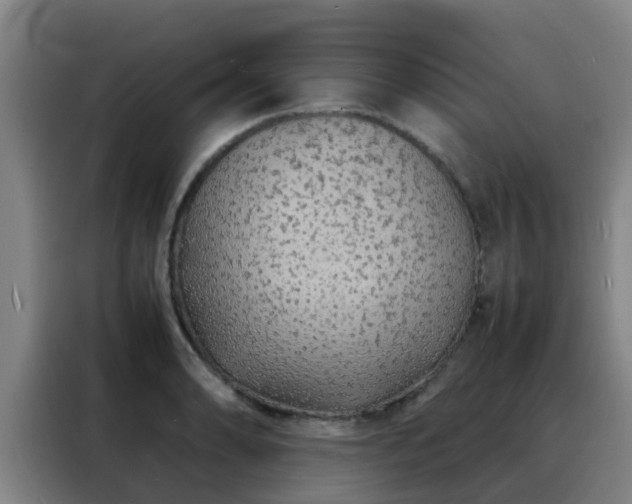 X0000088131086200705211111