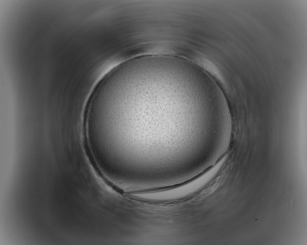 X0000088131087200705211111