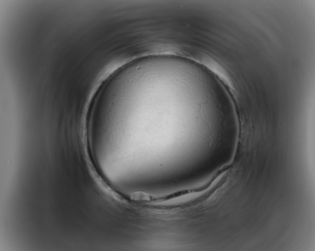 X0000088131088200705211111