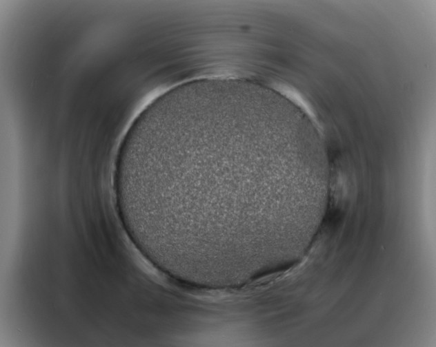 X0000088131091200705211111