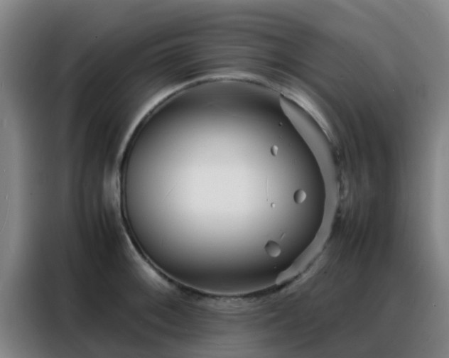 X0000088131092200705211111