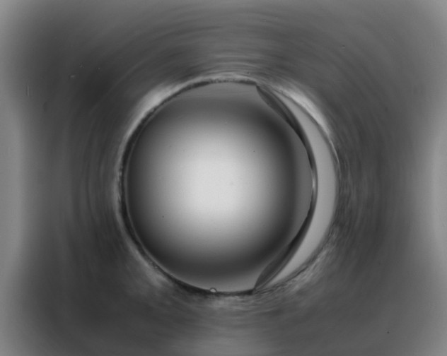 X0000088131093200705211111