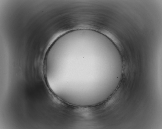 X0000088131094200705211111