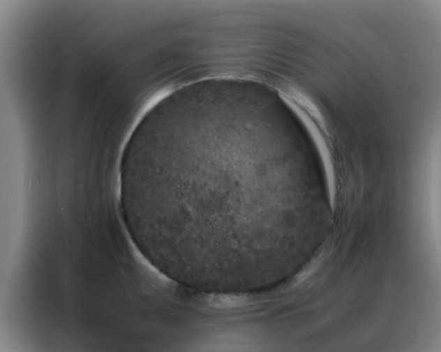 X0000088131095200705211111