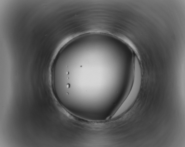 X0000088131096200705211111