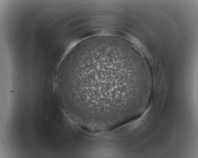 X0000088131097200705211110