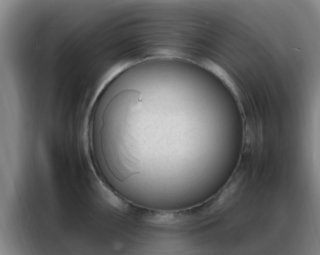 X0000088131098200705211110