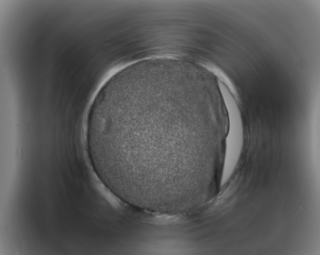 X0000088131099200705211110