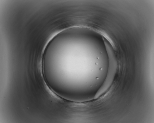 X0000088131100200705211110