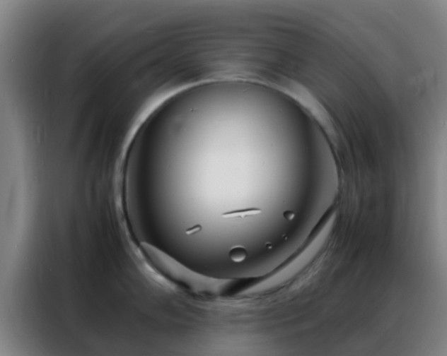 X0000088131102200705211110