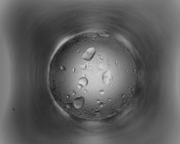 X0000088131103200705211110