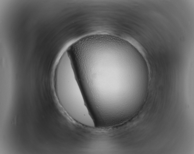 X0000088131104200705211110