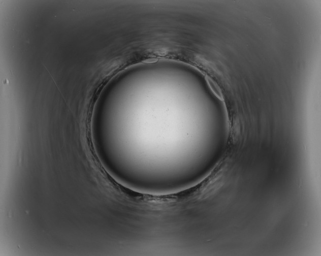 X0000088131105200705211110