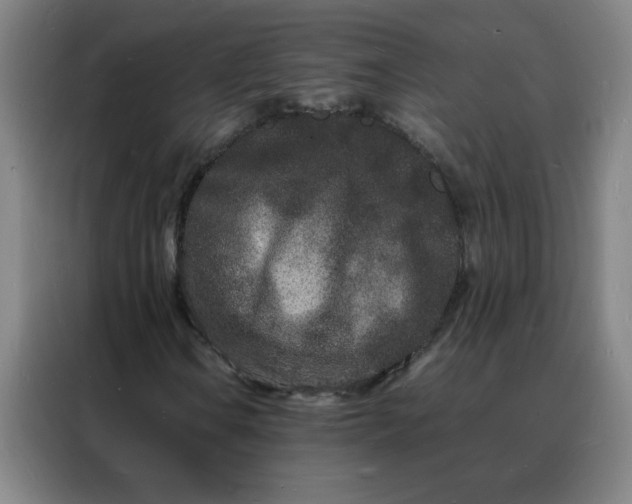 X0000088131106200705211110