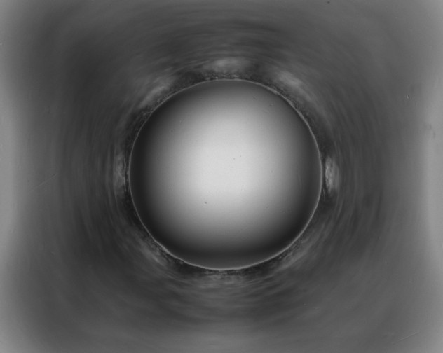 X0000088131107200705211110