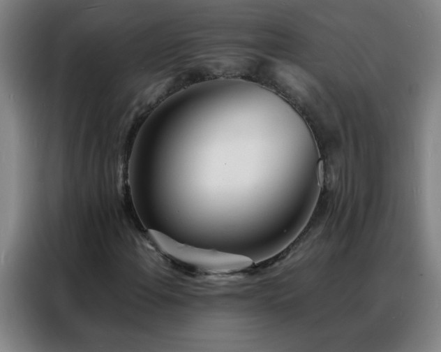 X0000088131108200705211110