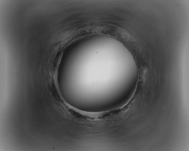 X0000088131109200705211110