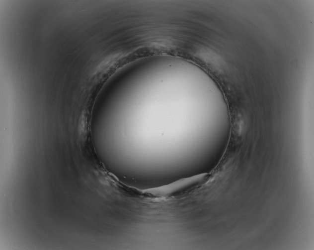 X0000088131110200705211110