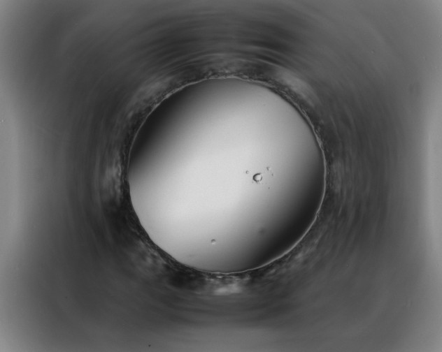 X0000088131111200705211110