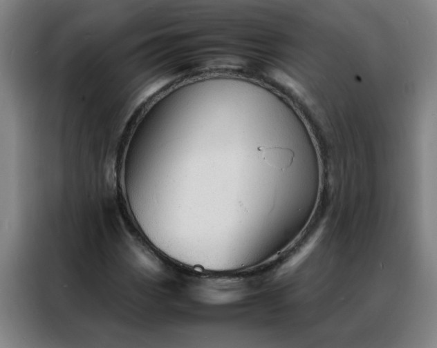 X0000088131113200705211110