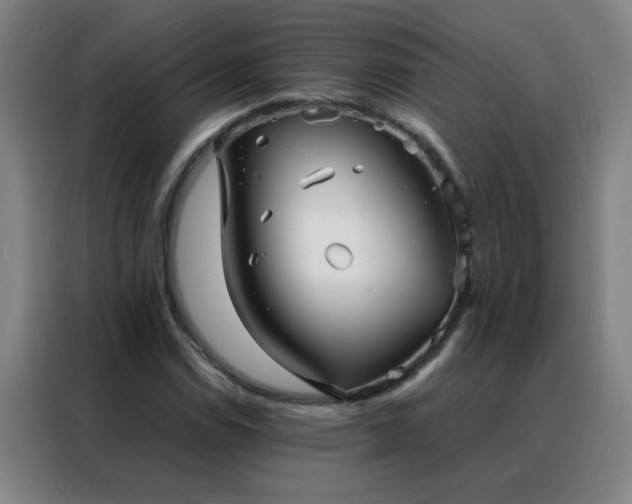 X0000088131114200705211110