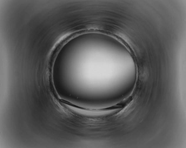 X0000088131115200705211110