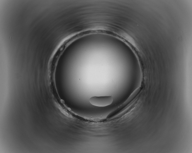 X0000088131116200705211110