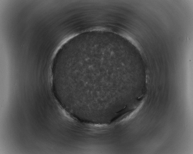 X0000088131117200705211110