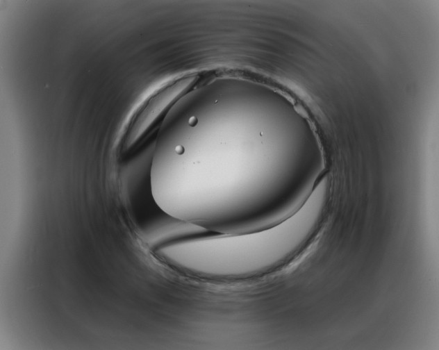 X0000088131118200705211110