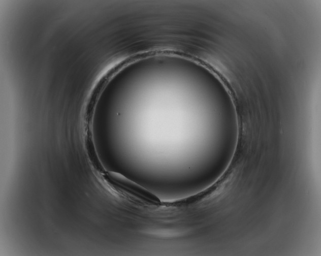 X0000088131119200705211110