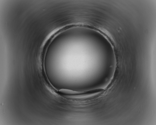 X0000088131120200705211110