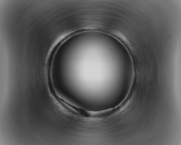 X0000088131122200705211110