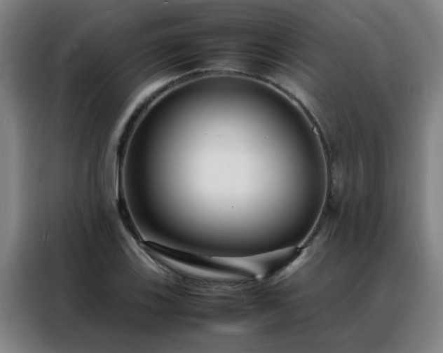 X0000088131123200705211110