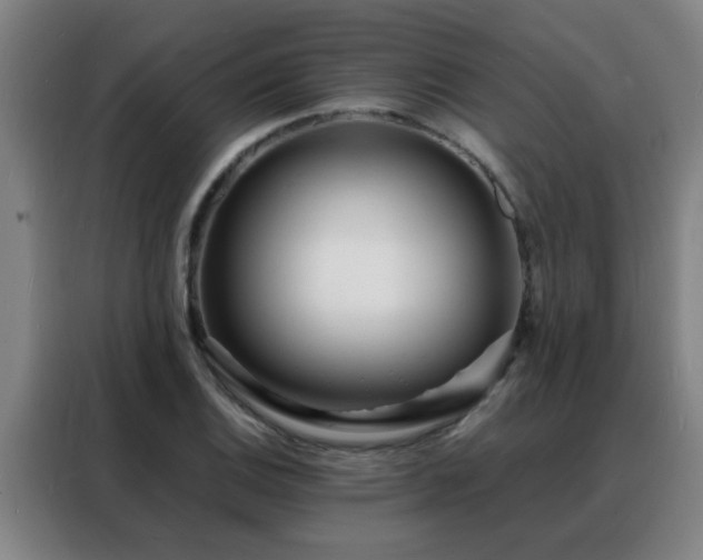 X0000088131124200705211110