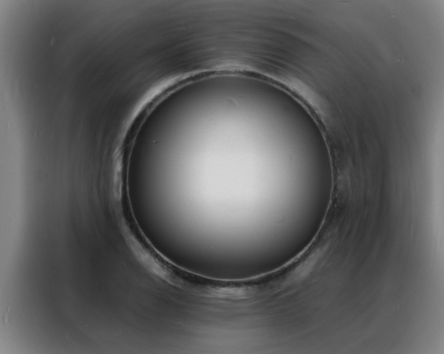 X0000088131126200705211110