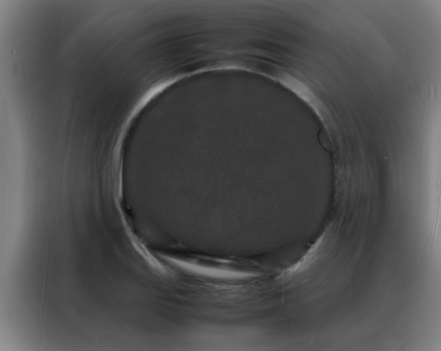 X0000088131127200705211110