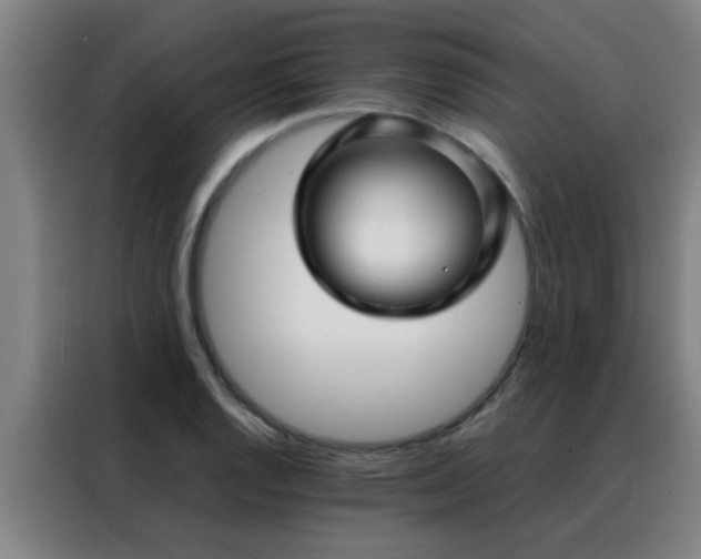 X0000088131128200705211110