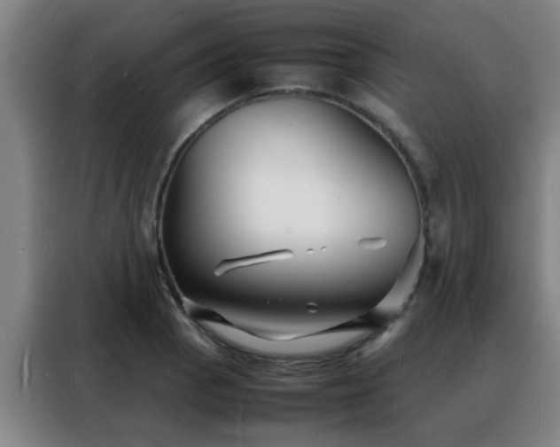 X0000088131129200705211110