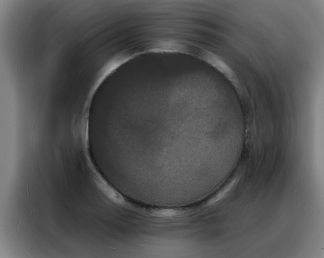 X0000088131130200705211110