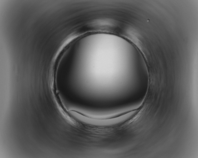 X0000088131131200705211110