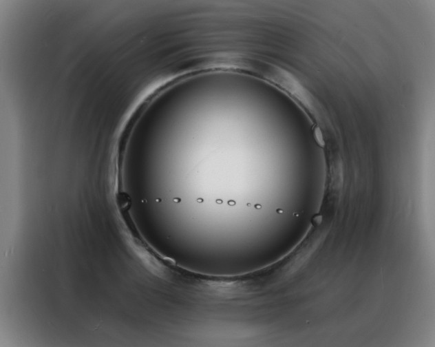 X0000088131132200705211110