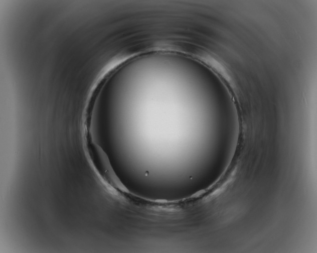 X0000088131133200705211110