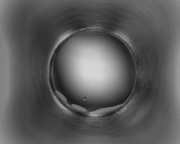 X0000088131135200705211110