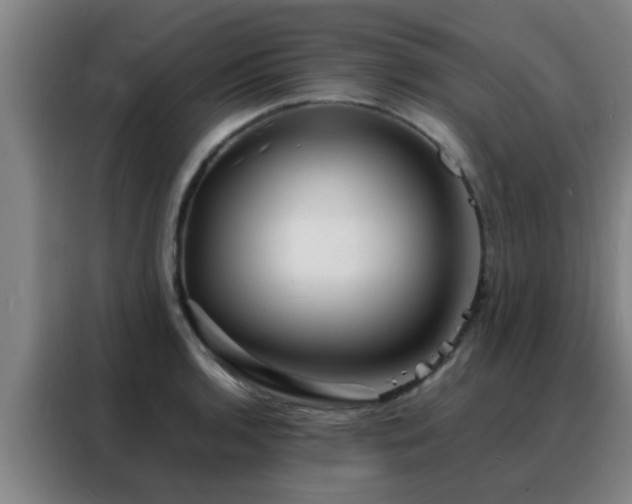 X0000088131136200705211110